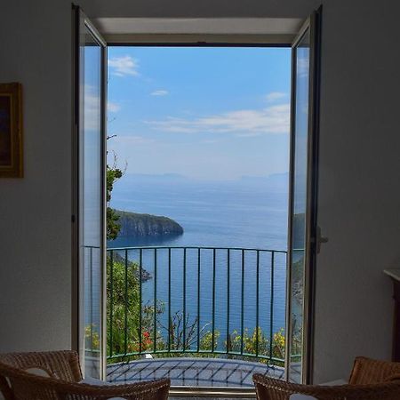 Il Giardino Selvatico Di Succellario - Apartments Barano d'Ischia ภายนอก รูปภาพ