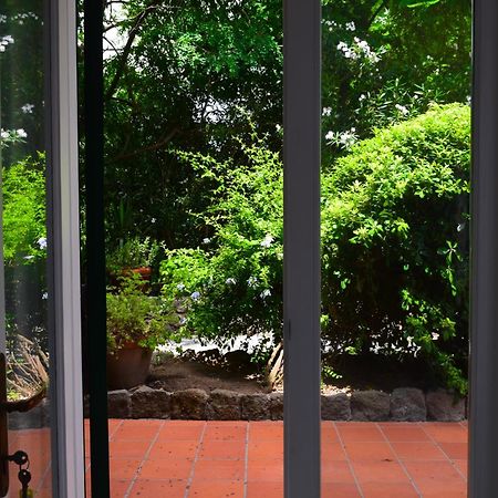 Il Giardino Selvatico Di Succellario - Apartments Barano d'Ischia ภายนอก รูปภาพ