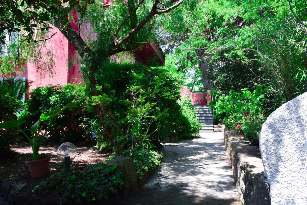 Il Giardino Selvatico Di Succellario - Apartments Barano d'Ischia ภายนอก รูปภาพ