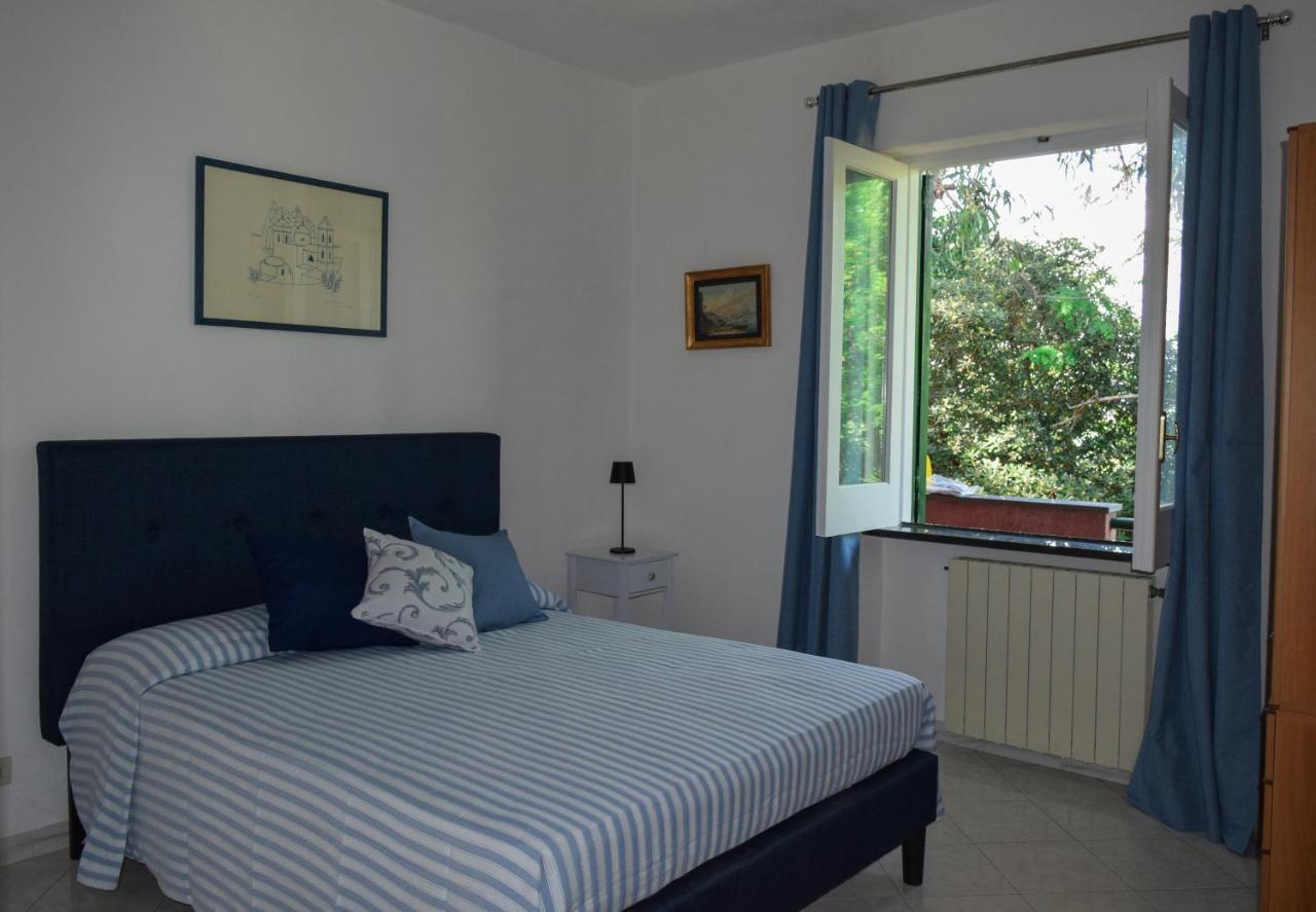 Il Giardino Selvatico Di Succellario - Apartments Barano d'Ischia ภายนอก รูปภาพ