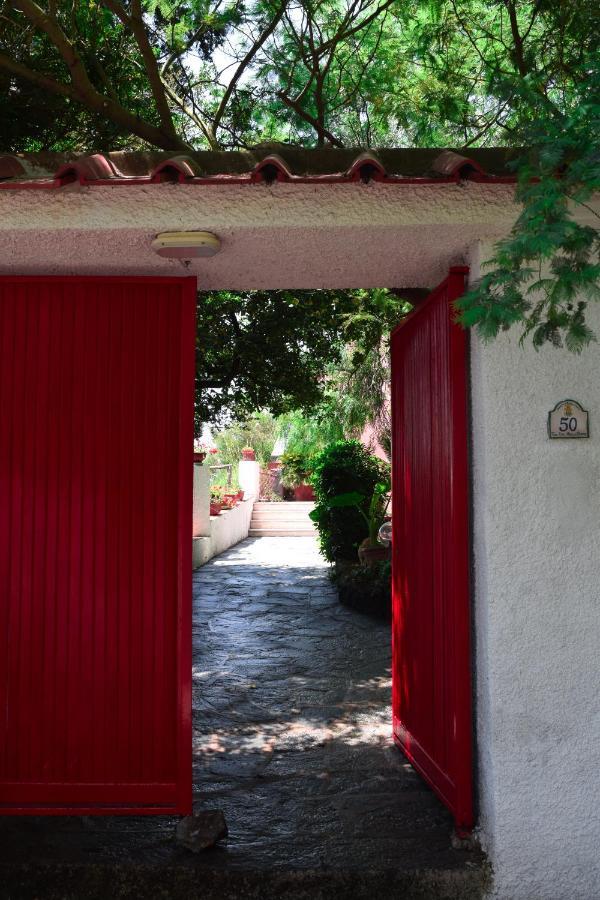 Il Giardino Selvatico Di Succellario - Apartments Barano d'Ischia ภายนอก รูปภาพ