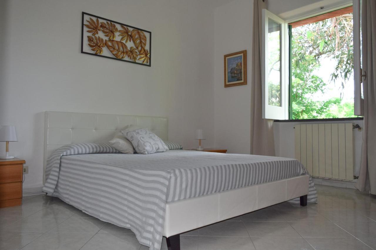 Il Giardino Selvatico Di Succellario - Apartments Barano d'Ischia ภายนอก รูปภาพ