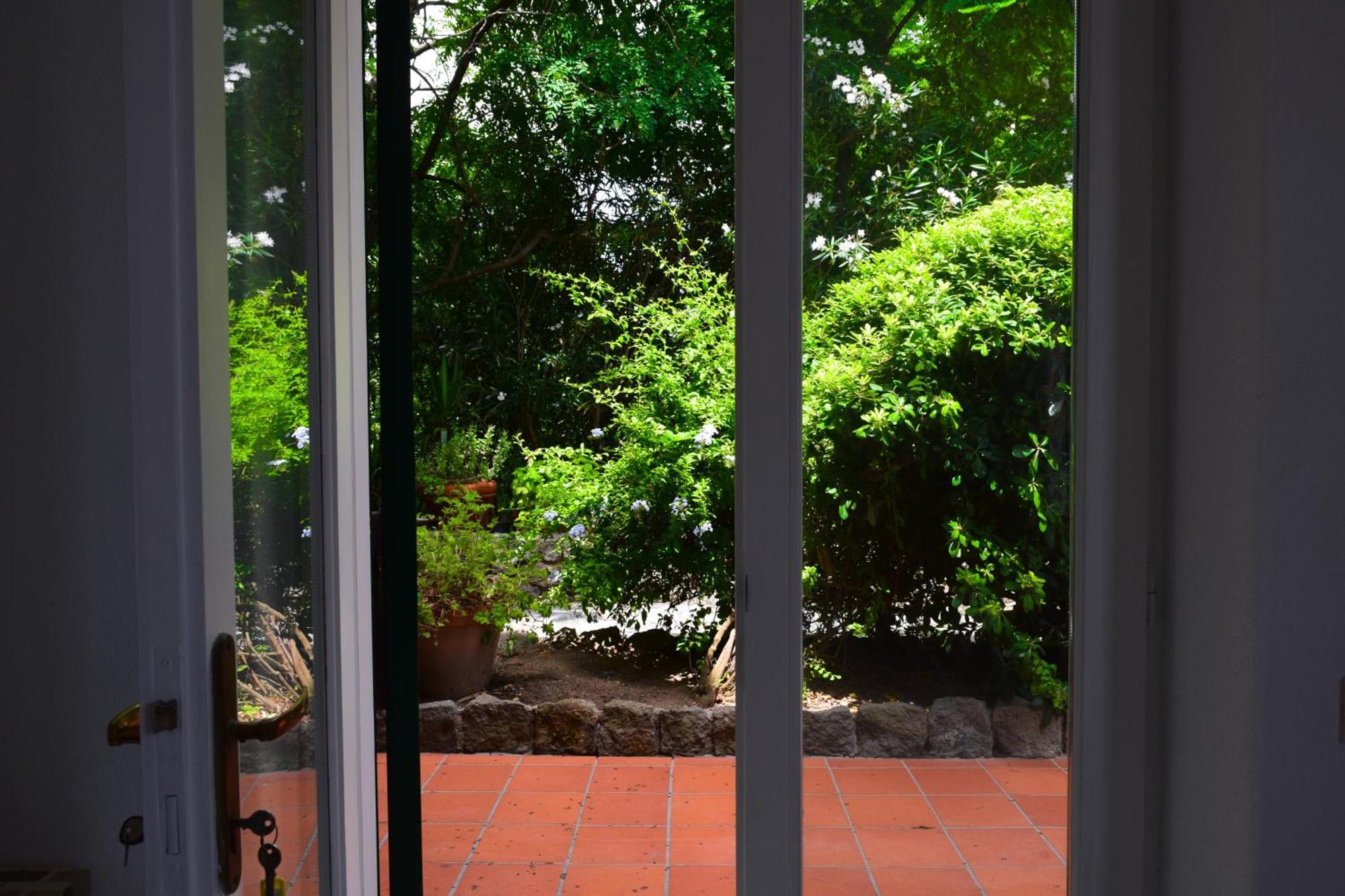 Il Giardino Selvatico Di Succellario - Apartments Barano d'Ischia ภายนอก รูปภาพ