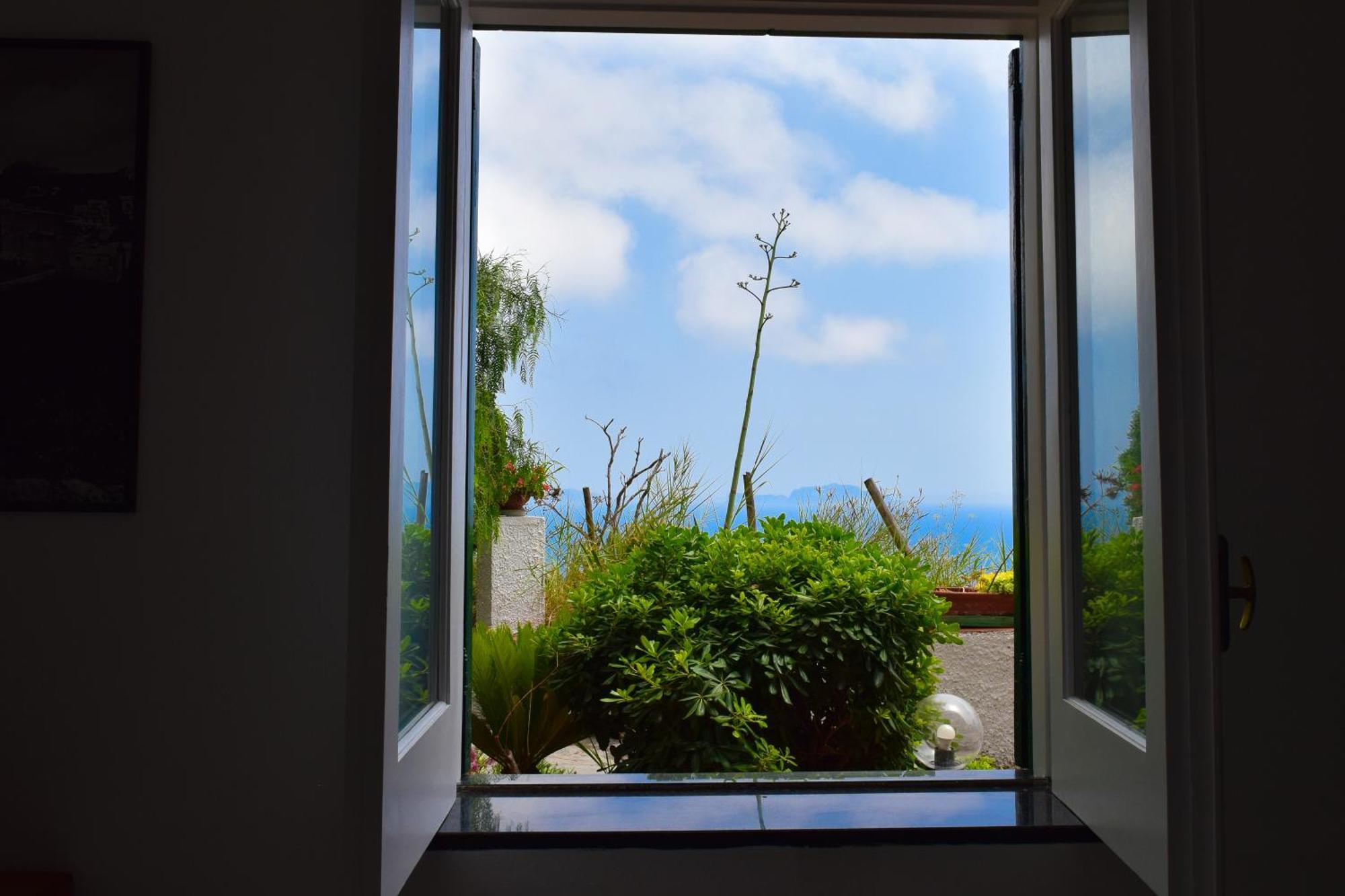 Il Giardino Selvatico Di Succellario - Apartments Barano d'Ischia ภายนอก รูปภาพ